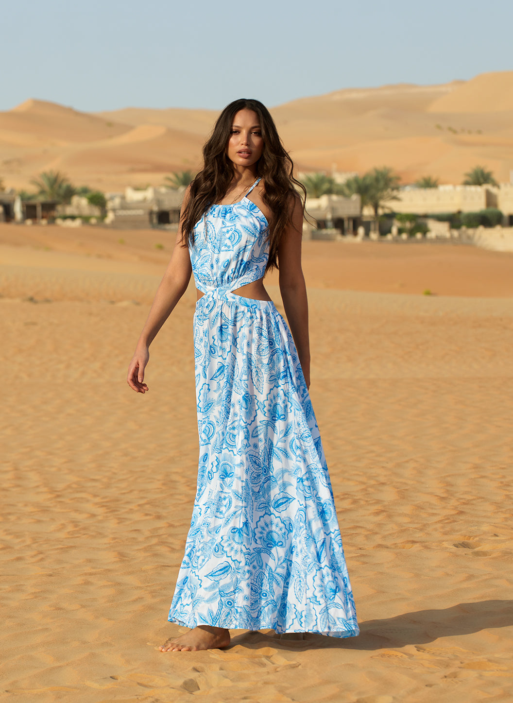 coast arabella dress